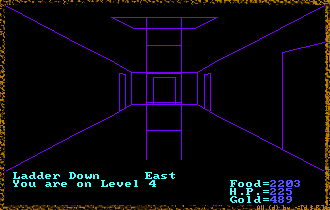 Akalabeth Welcome to Level 4